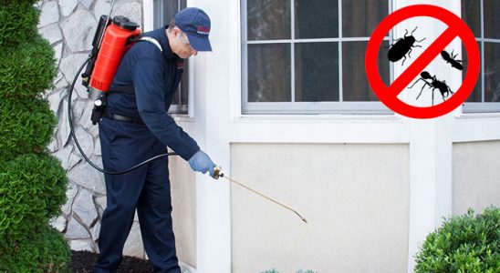 Sarıçam Kemirgen İlaçlama böcek ilaçlama ve haşere kontrolü — ilaclama-tr.com